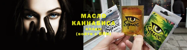 молекула духа Кулебаки