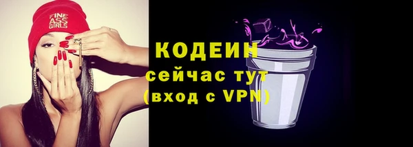 молекула духа Кулебаки