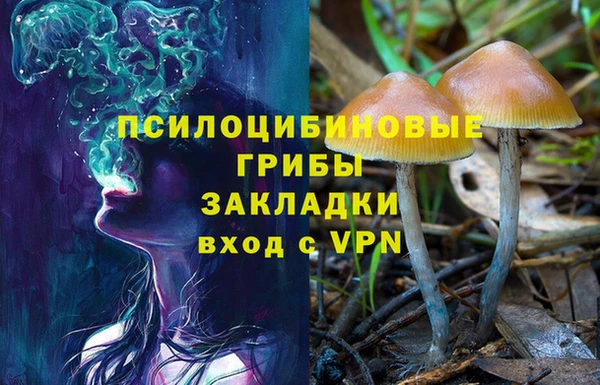 кокаин премиум Ладушкин