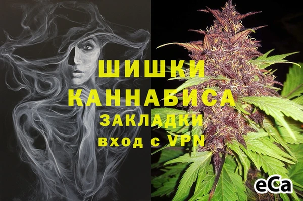 молекула духа Кулебаки