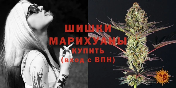 молекула духа Кулебаки