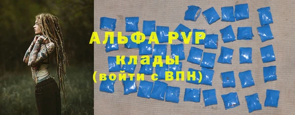 ПСИЛОЦИБИНОВЫЕ ГРИБЫ Липки